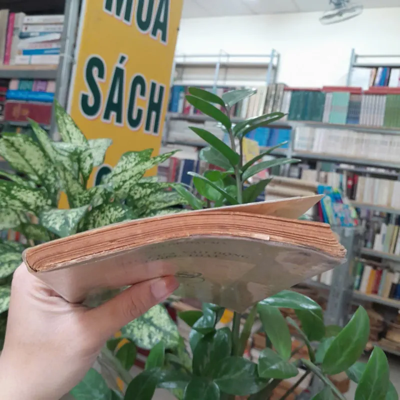 SÁU CỬA VÀO ĐỘNG THIẾU THẤT - BỒ ĐỀ ĐẠT MA 1039356