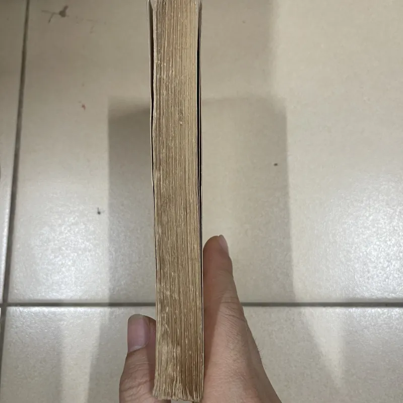 Việt Nam phong tục - Phan Kế Bính (c43) 995203