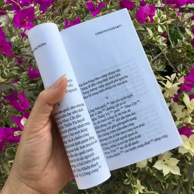 Chinh phụ ngâm Đặng Trần Côn 970808