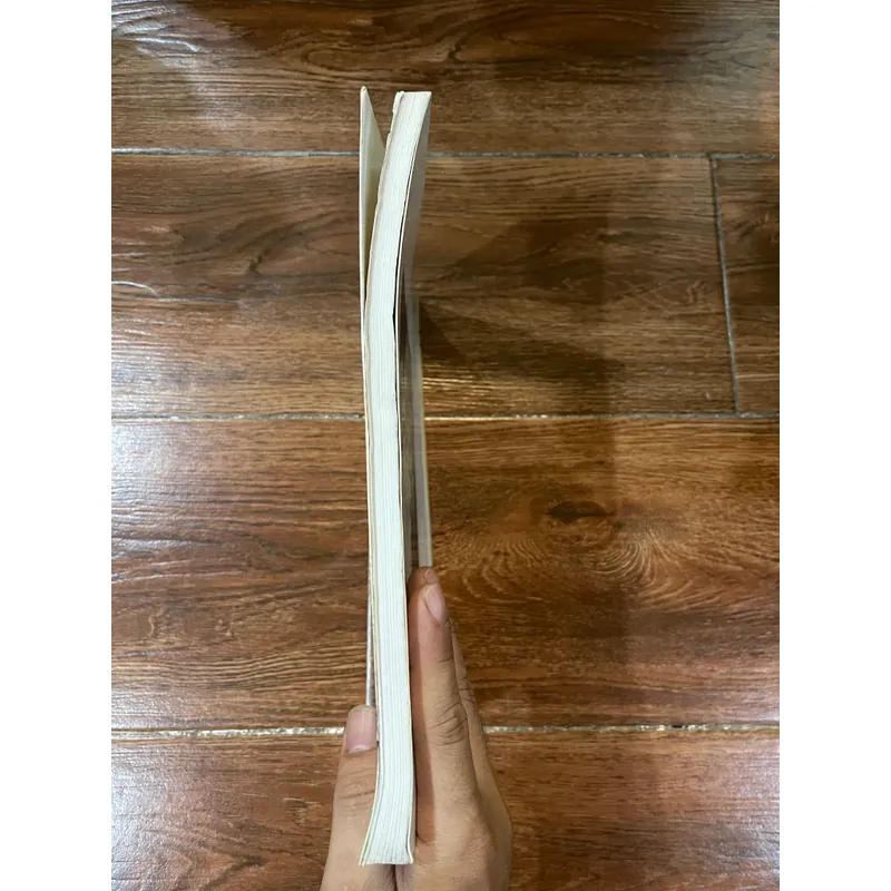 GỐM BÁT TRÀNG THẾ KỶ XIV-XIX (k3) 558834