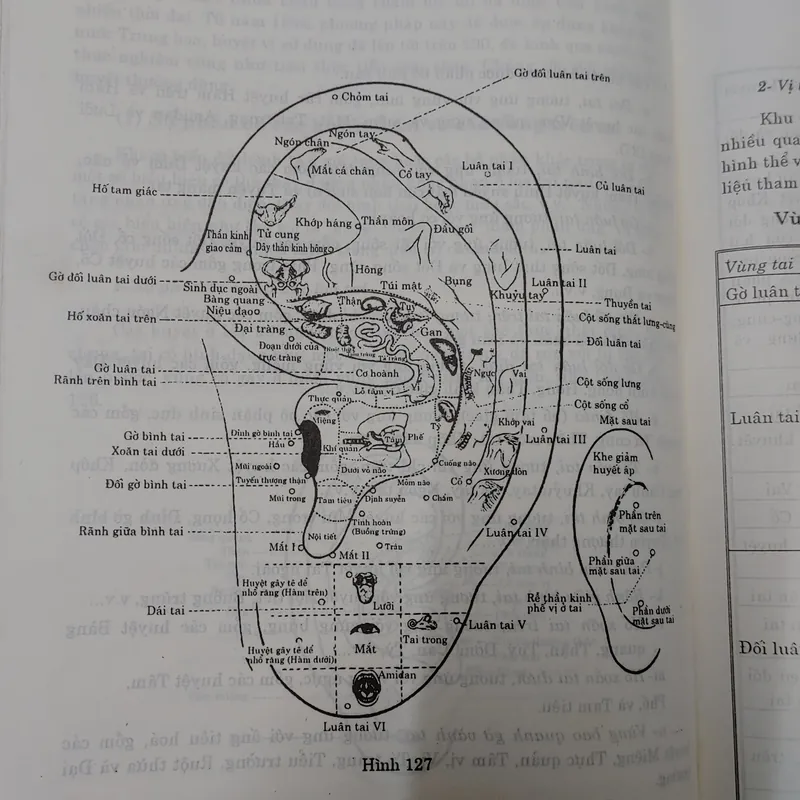 CHÂM CỨU HỌC Trung QUỐC  674270