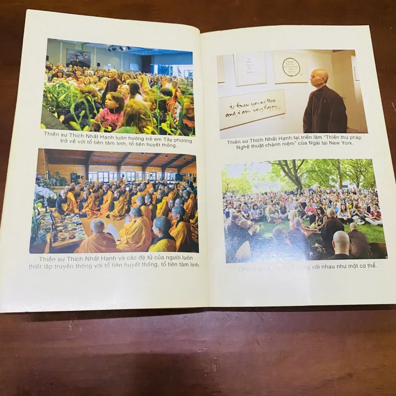 Hạnh phúc đích thực - Thích Nhất Hạnh  990600