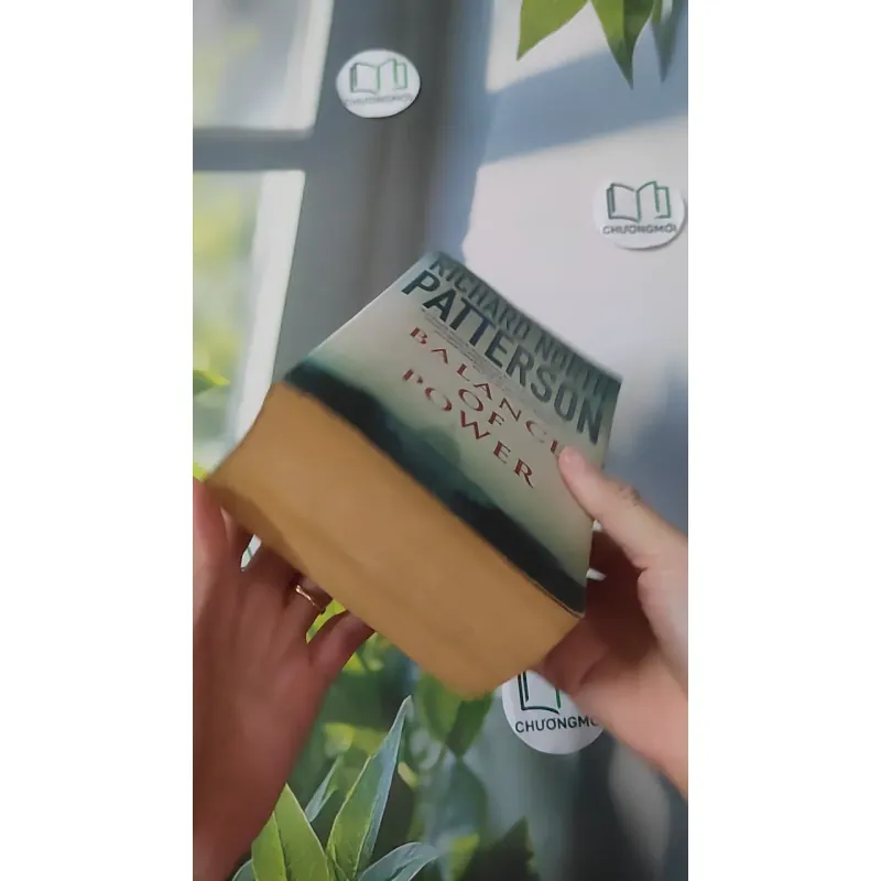 Balance of Power - Richard North Patterson 1027507