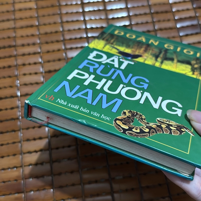 Đất rừng phương nam - Đoàn Giỏi 527338