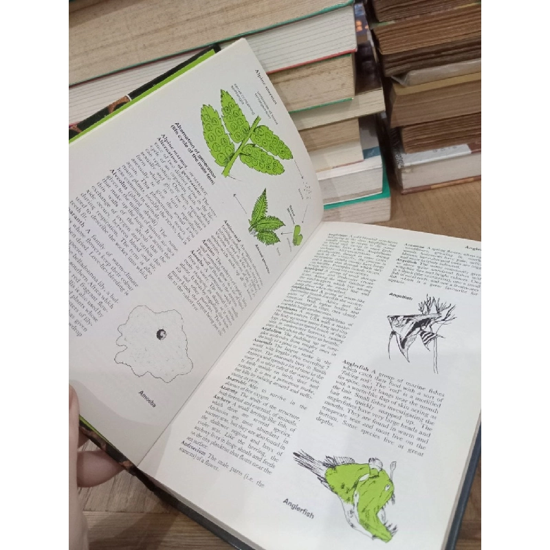 Purnell's concise dictionary of nature - Michael Dempsey 750098