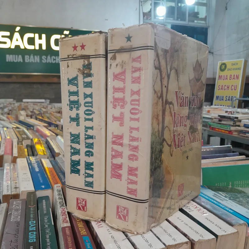 VĂN XUÔI LÃNG MẠN VIỆT NAM 695912