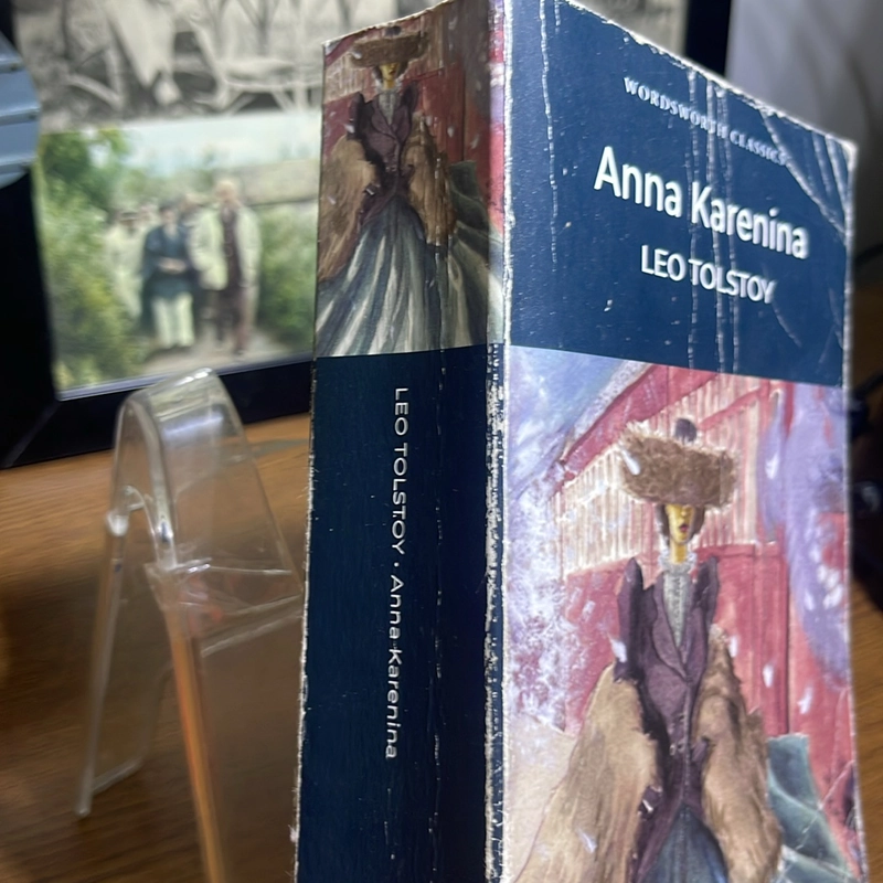 Anna Karenina Leo Tolstoy 493584