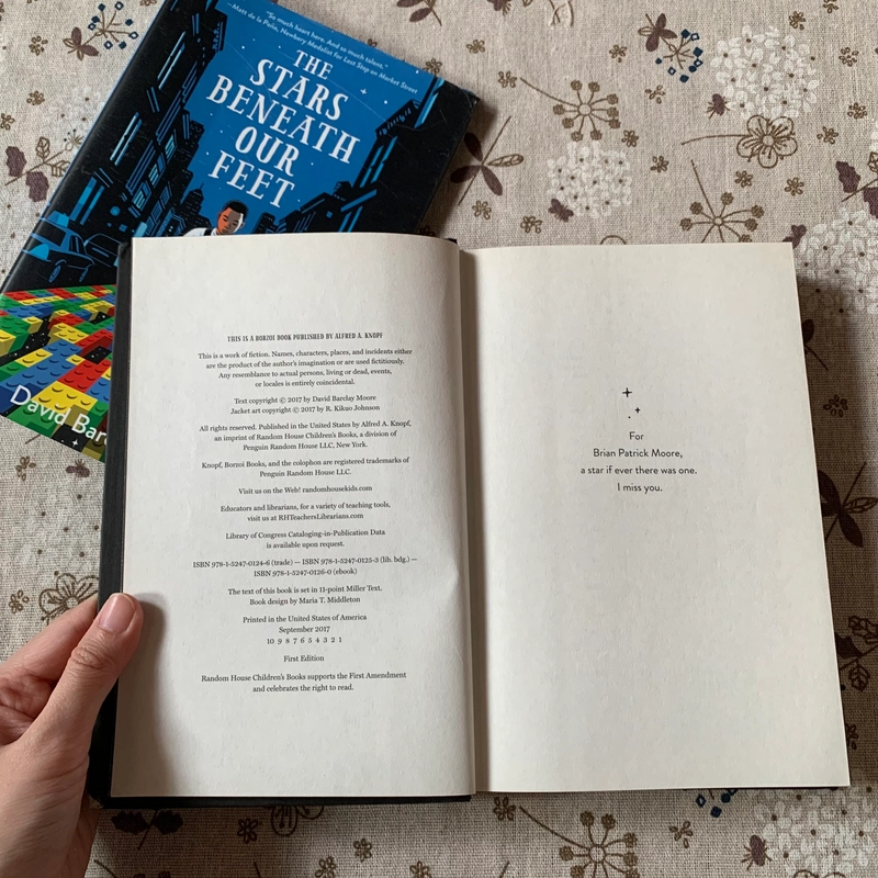 Sách ngoại văn The Stars Beneath Our Feet, Used, Bìa cứng, Fiction For Kids 446645