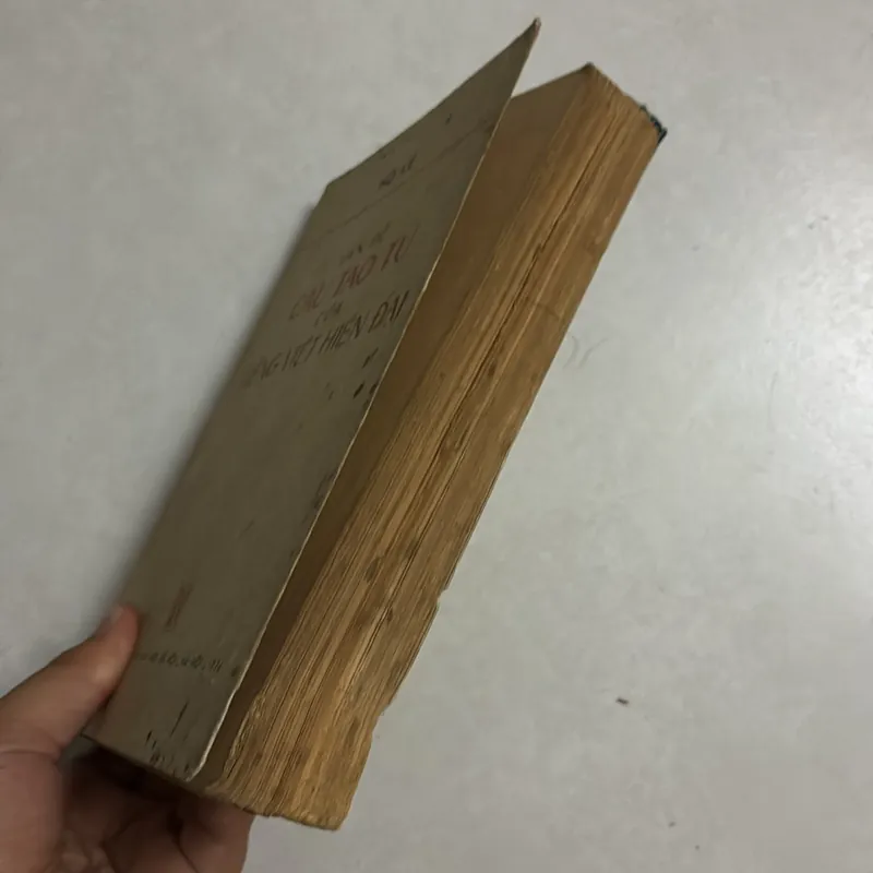 Vấn đề Cấu tạo từ của Tiếng Việt hiện đại - 1976s 729321