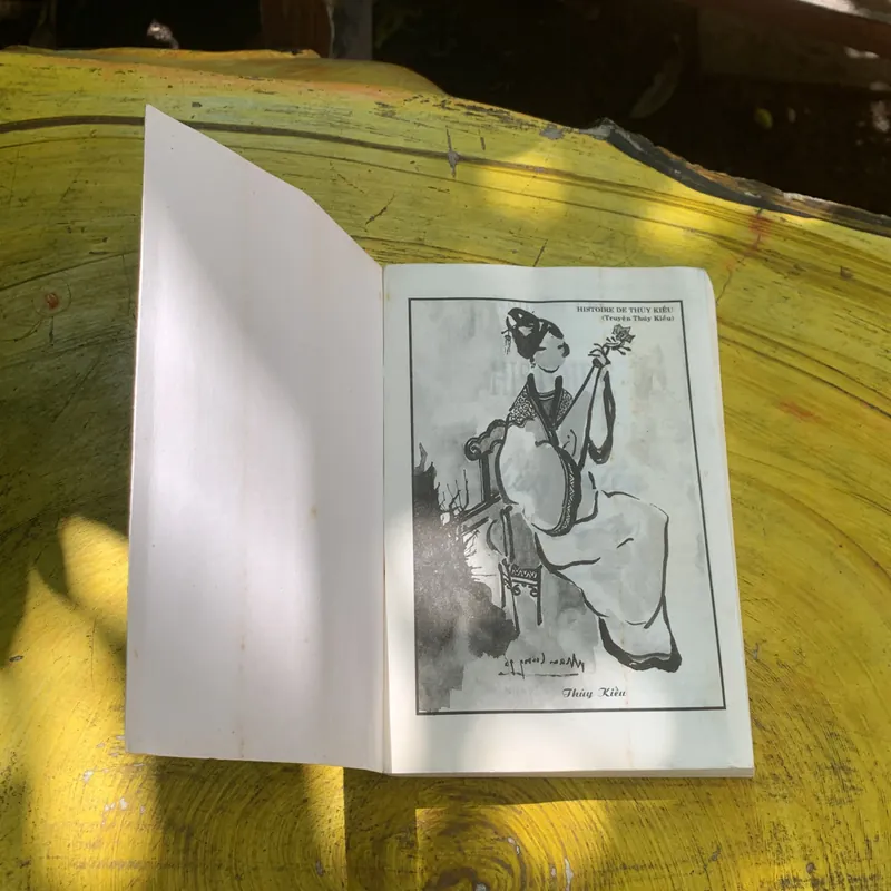 COMBO NGUYỄN DU: HISTOIRE DE THUÝ KIỀU ( TRUYỆN THUÝ KIỀU) & TRUYỆN KIỀU 737851