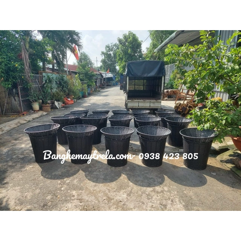 Rổ mây trưng bày trái cây 539769
