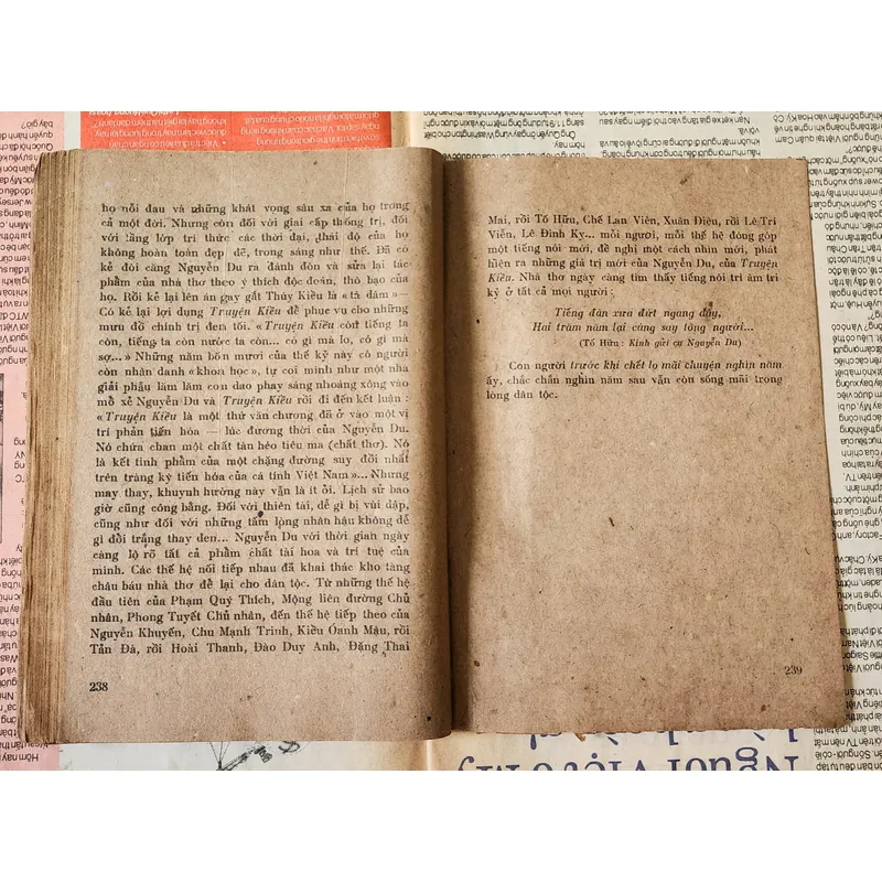 Nguyễn Lộc viết về đại thi hào Nguyễn Du 716324