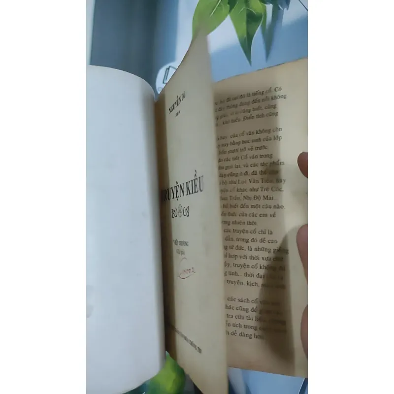 Truyện Kiều - Việt Chương chú giải - Nguyễn Du 798520