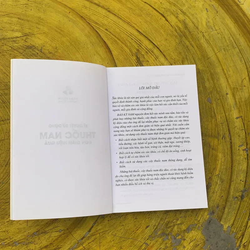  BÍ QUYẾT SỬ DỤNG THUỐC NAM ĐƠN GIẢN HIỆU QUẢ - BẢO KỲ NAM 797243