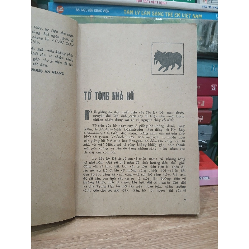 Các Con Vật Trên Rừng Dưới Biển - Đoàn Giỏi 749322