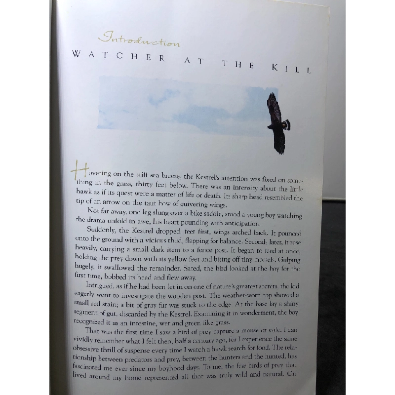 Hunters on The Wings Hawks mới 85% bẩn nhẹ Dick Dekker HPB3107 NGOẠI VĂN 450752