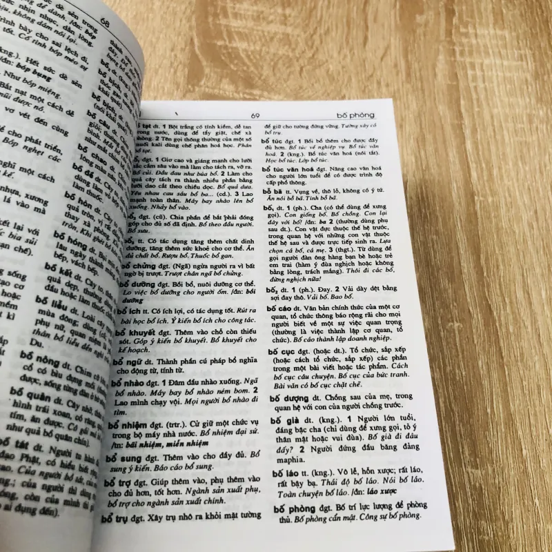 TỪ ĐIỂN TIẾNG VIỆT PHỔ THÔNG  1004654