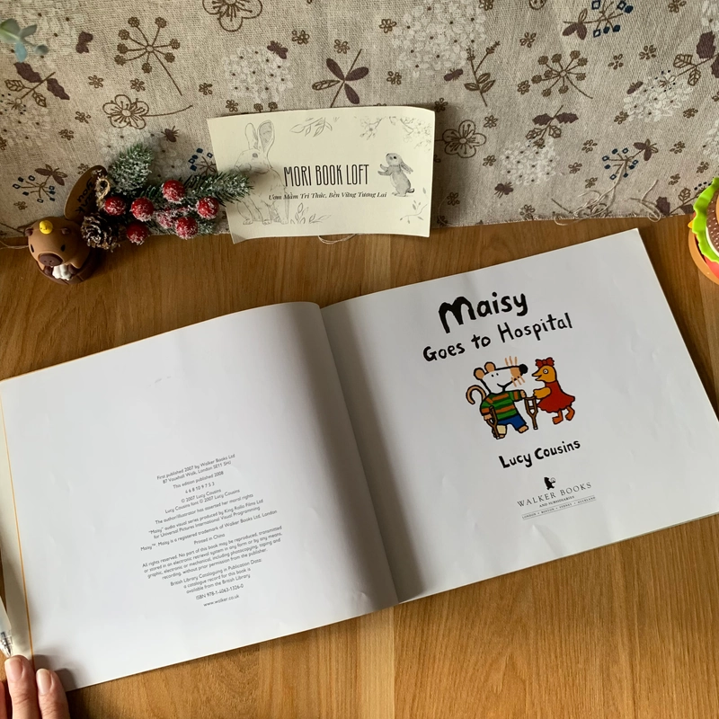 Sách tranh tiếng anh Maisy Goes to Hospital, Used, Picture Book For Kids 459551