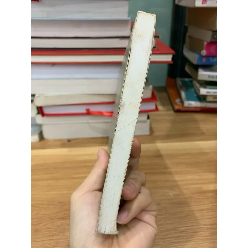 Một số chuyên đề về tôn giáo và chính sách tôn giáo ở Việt Nam 718342