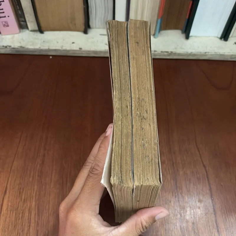 II Sách Xưa, Tiểu Thuyết Trinh Thám: Con Kỳ Nhông - MORRIS WEST - 1988 590495