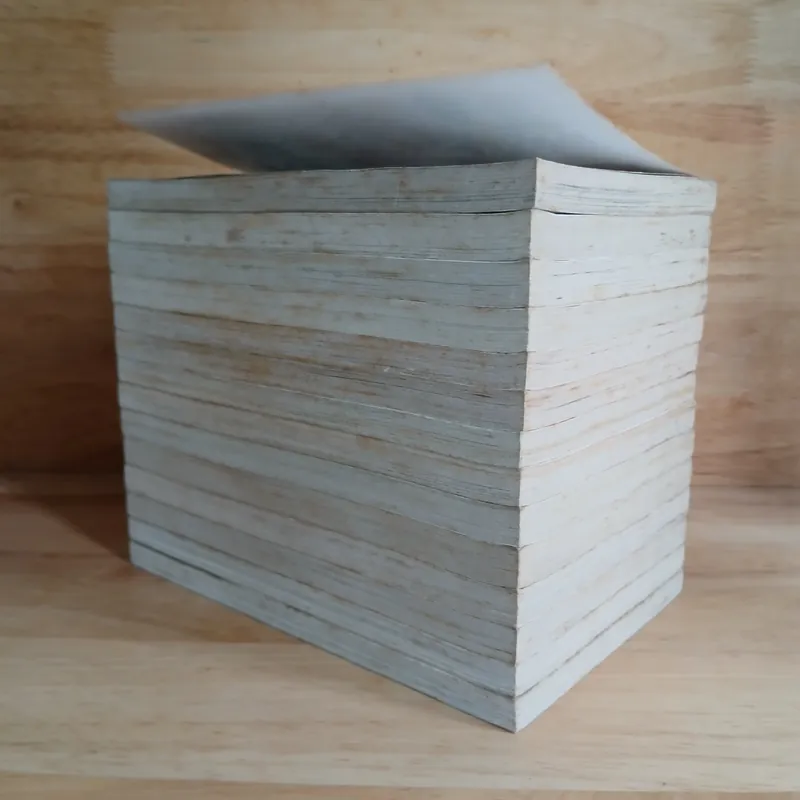 Truyện Tranh Tuổi Trẻ Cuồng Nhiệt (Bộ 14 Tập) - Nicky Lee 674389