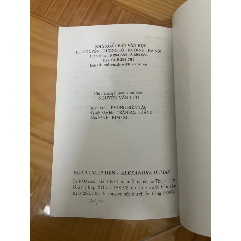 Hoa tulip đen 990472