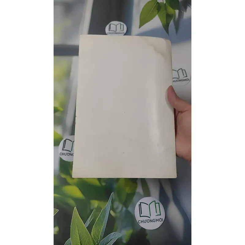 Hồi Dương Nhơn Quả 1018902