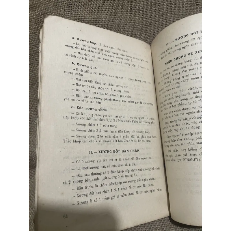 Giải phẫu & Phẫu Thuật xương chị trên; Xb 1957 1011242