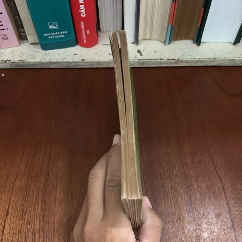 II Sách Kinh Tế: Làm Giám Đốc Cần Biết - Đào Nguyên Vịnh, Lê Thụ - 1991 604855