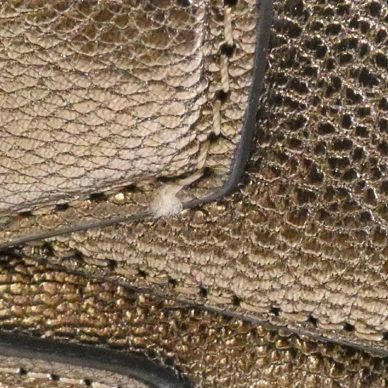 Loewe 329 70 D38 Túi - Hàng hiệu Authentic 770341