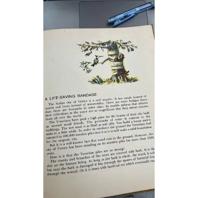 THE MAGIC TREE - Nikolai Osipov 165209