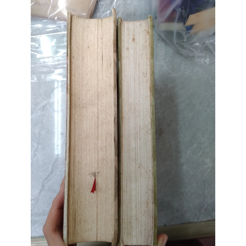 Lịch Sử Văn Hóa Trung Quốc (2 quyển) 529919