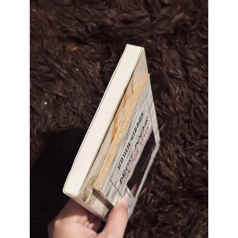 Combo 2 tác phẩm Kahlil Gibran 929384