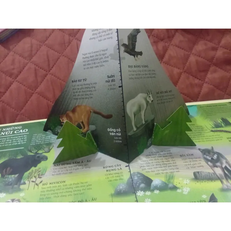 Atlas Đa Tương Tác Về Động Vật Hoang Dã 1009877