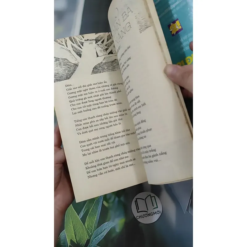 Say Nắng - Những Mối Tình Đan Xen 1018876