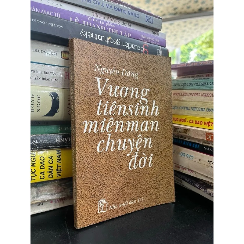 Vương tiên sinh miên man chuyện đời - Nguyễn Đăng 378980