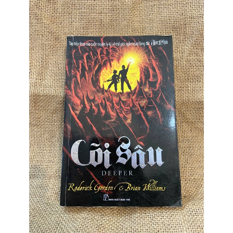 Cõi sâu - Goderick Golden, Brian Williams 2012 mới 90% có chữ ký của chủ sở hữu cũ Văn học nước ngoài NSX1004 1007679