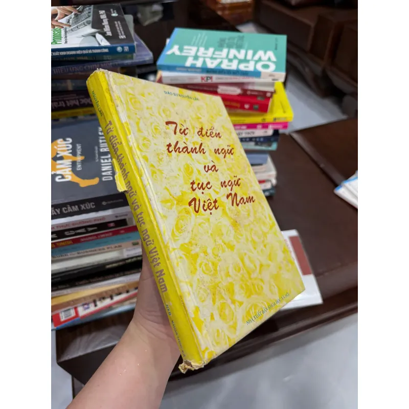 TỪ ĐIỂN THÀNH NGỮ VÀ TỤC NGỮ VIỆT NAM – Giáo sư Nguyễn Lân- K2 999918
