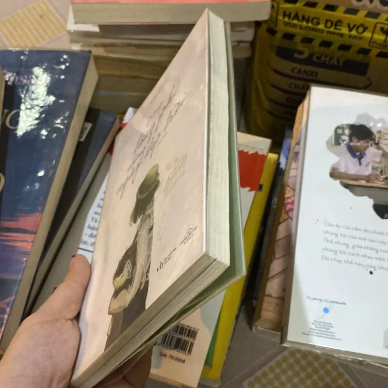 Đừng lãng phí những ngày trời đẹp 972361