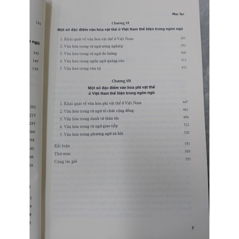 VĂN HOÁ VIỆT NAM TRONG NGÔN NGỮ - TS. LÝ TÙNG HIẾU  531616