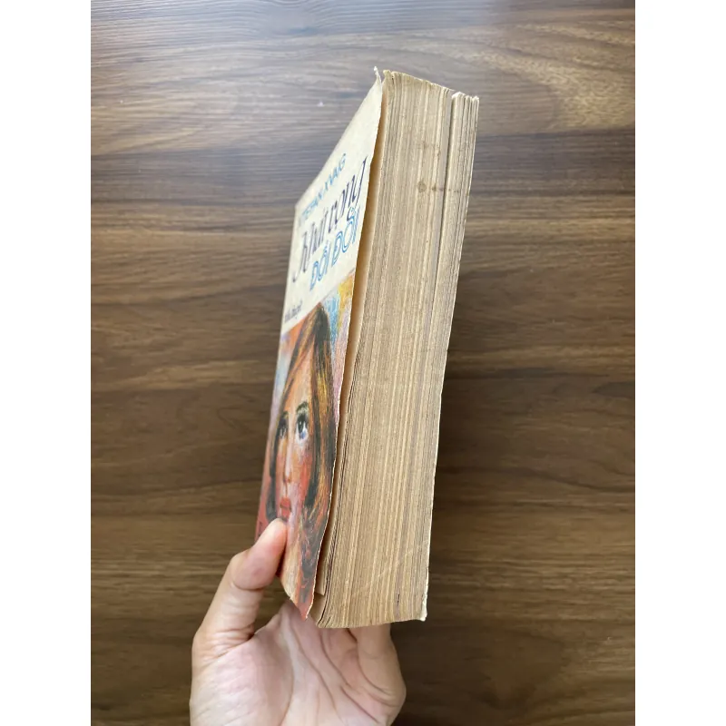 Khát vọng đổi đời - Xtefan Xvaig 977680