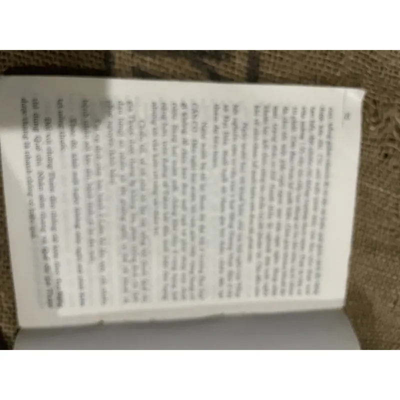 Các bệnh về đường hô hấp GS. TS. THỈ SỐ ĐẠO MINH 1026077