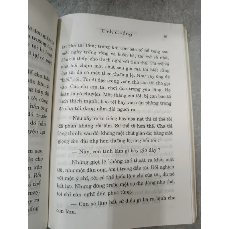 TÌNH CUỒNG - DỊCH: HUỲNH PHAN ANH, NGUYỄN NHẬT DUẬT 577868