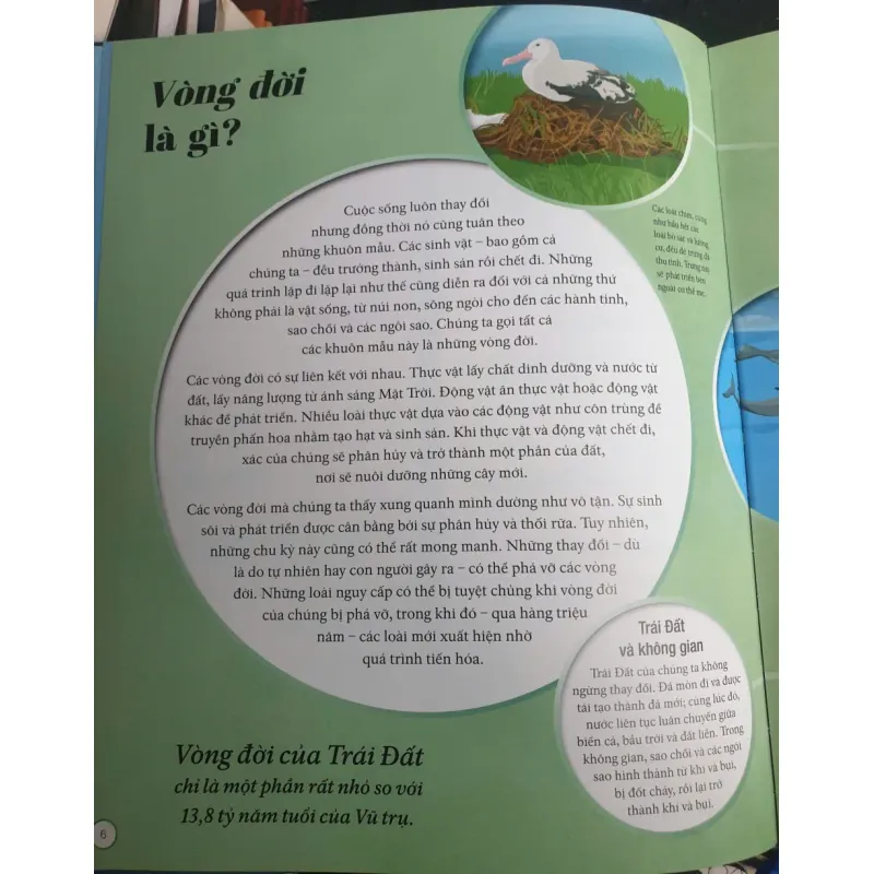 Vòng Đời - Vạn Vật Từ Khởi Đầu Cho Đến Kết Thúc 1009017