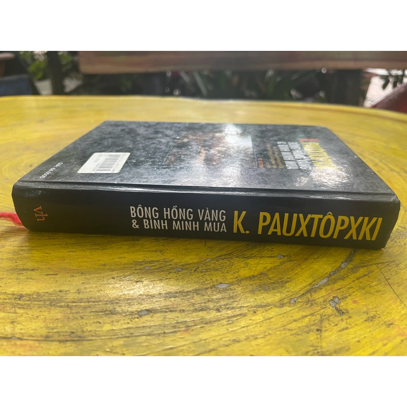 BÔNG HỒNG VÀNG VÀ BÌNH MINH MƯA- K. PAUTOPSKY 539545