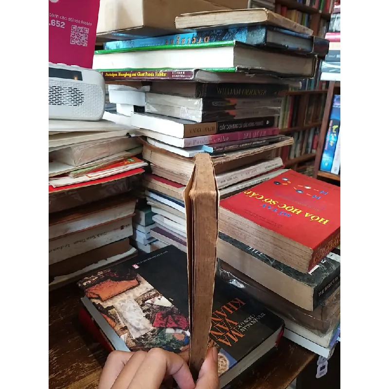 La Tulipe Noire - Alexandre Dumas 606113