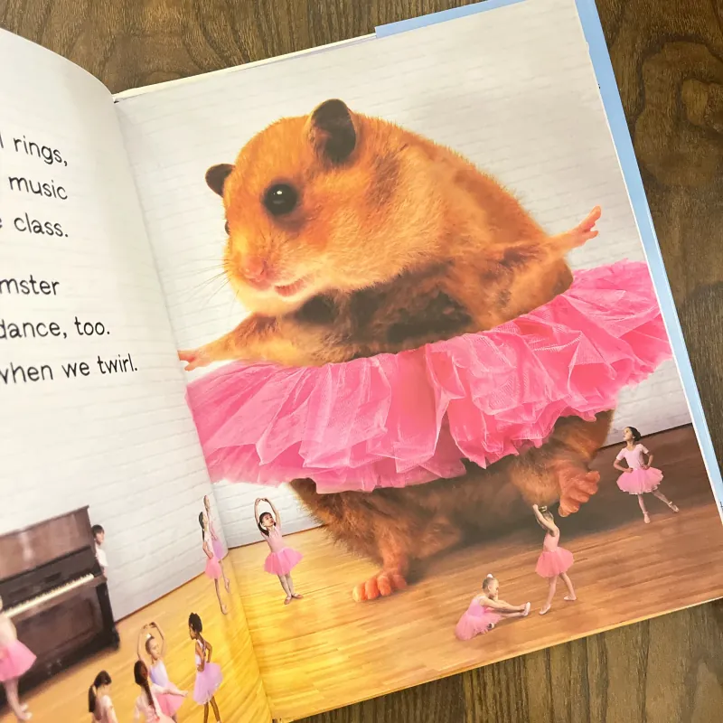 ✨𝑴𝒚 𝑯𝒖𝒎𝒐𝒏𝒈𝒐𝒖𝒔 𝑯𝒂𝒎𝒔𝒕𝒆𝒓 𝑮𝒐𝒆𝒔 𝒕𝒐 𝑺𝒄𝒉𝒐𝒐𝒍✨ 693346