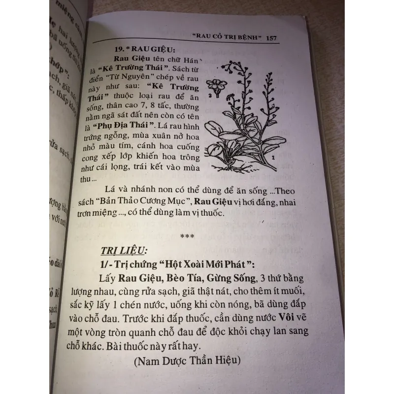 Mẹo vặt đông y những phương thuốc hay- Tạ Duy Tân 956874