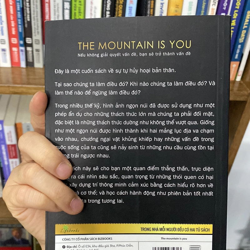 Nếu không giải quyết vấn đề bạn sẽ trở thành vấn đề the mountain is you 519356