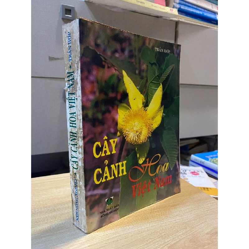 Cây cảnh, hoa Việt Nam (trừ họ Phong lan) - Trần Hợp 524647